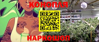 наркотики Дубна