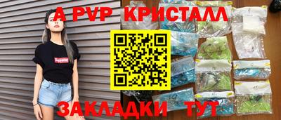 амф Донской